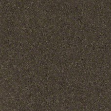 Ковролин SHAW Cashmere 505