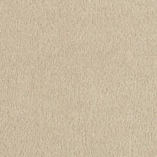 Ковролин Vorwerk Modena 8E99 Ковролин Vorwerk Modena 8E99
