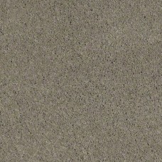 Ковролин SHAW Cashmere 503
