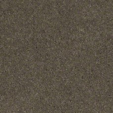 Ковролин SHAW Cashmere 504