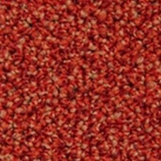 Ковровая плитка Sand 5012