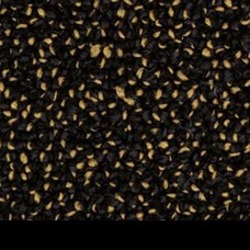 Ковровая плитка Precious Metals 2911