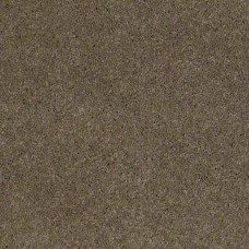 Ковролин SHAW Cashmere 704
