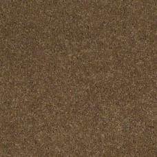 Ковролин SHAW Cashmere 202