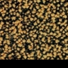 Ковровая плитка Precious Metals