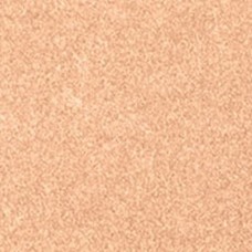 Ковролин Oinone AW 08