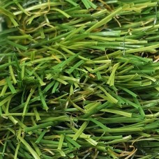 Искусственная трава San Marino -1