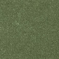 Ковролин Oinone AW 24